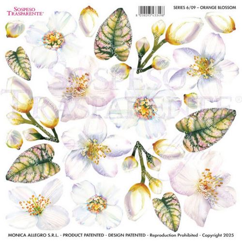 Pellicola Modellabile Orange Blossom Serie 6