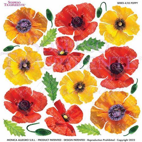 Pellicola Modellabile Poppy Serie 4
