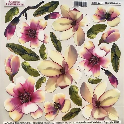 Pellicola Modellabile Rose Magnolia Serie 2/11