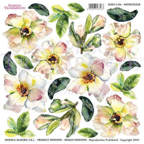 Pellicola Modellabile Watercolour Serie 6