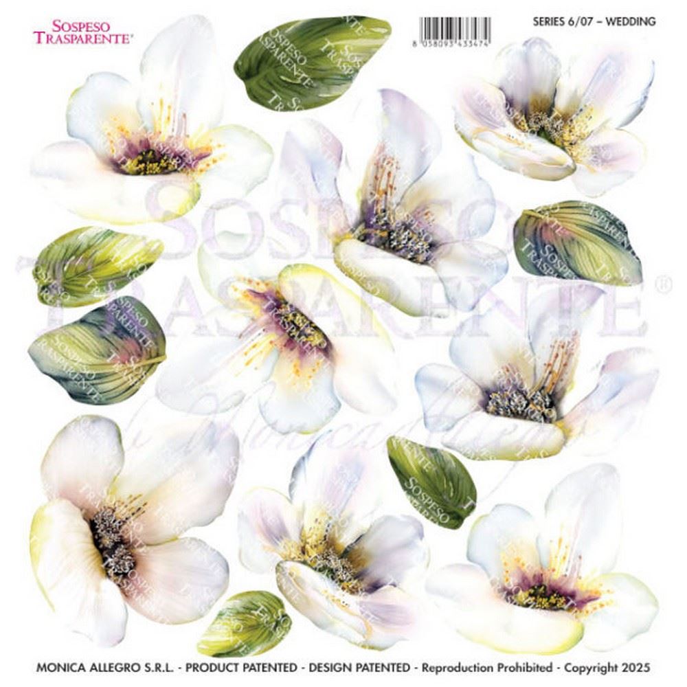 Pellicola Modellabile Wedding Serie 6