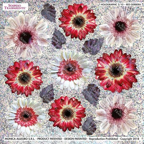 Pellicola Olografica Modellabile Red Gerbera