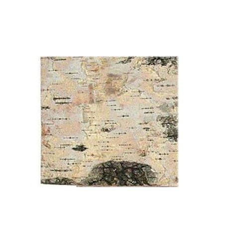 Piastra di Betulla 10 x 10