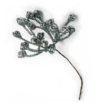 Pick Pistilli Silver