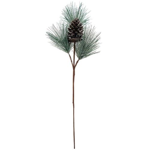 Pino con Neve e Pigna