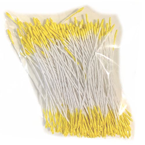 Pistilli giallo intenso 1 mm