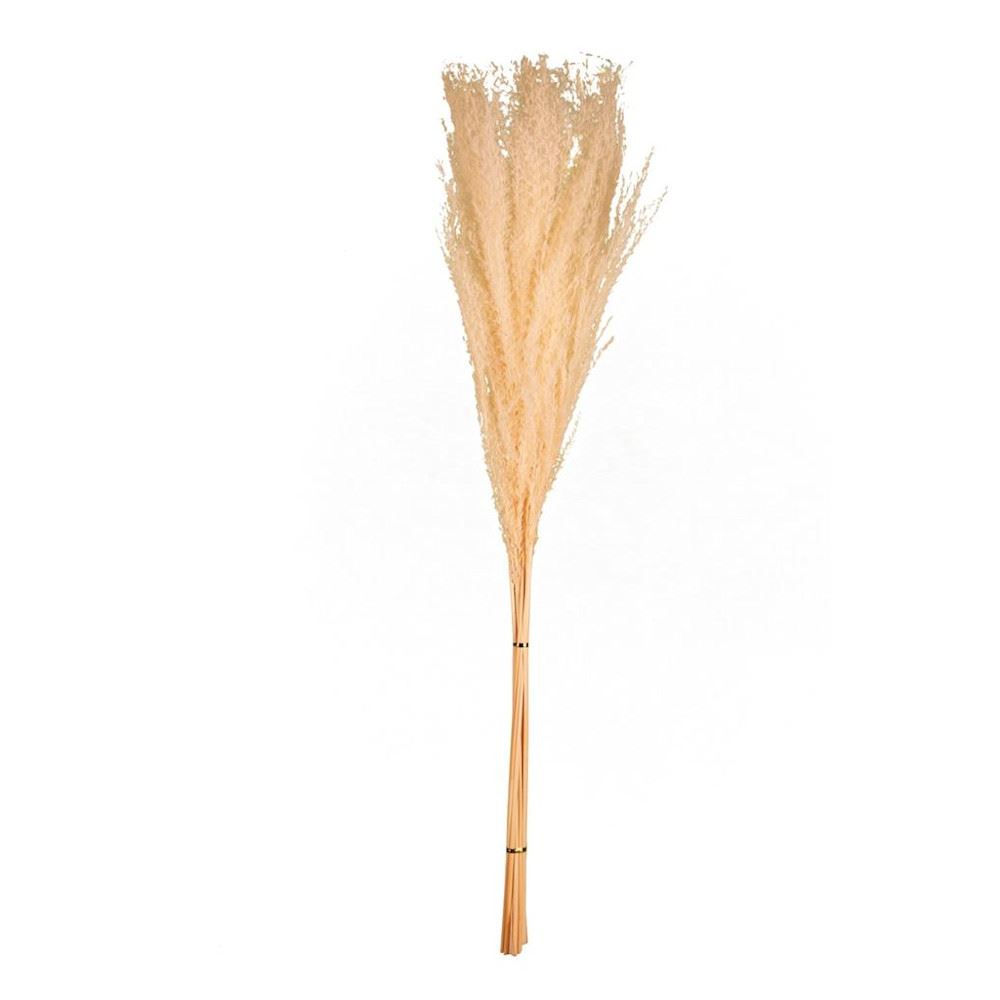 Piumette essiccate colore naturale