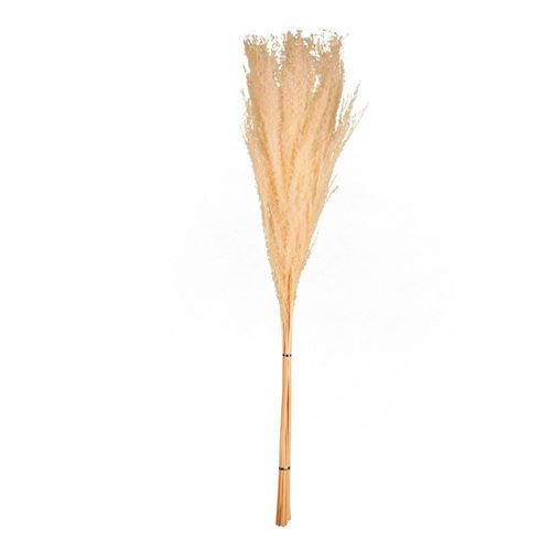 Piumette essiccate colore naturale