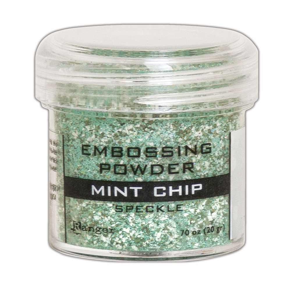 Polvere da rilievo Mint Chip Speckle