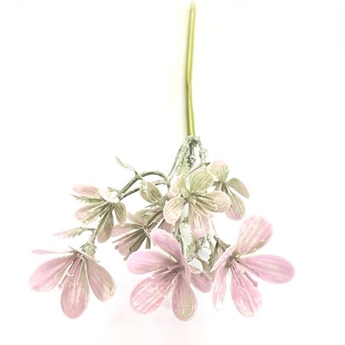 Rametto Silene colore Glicine