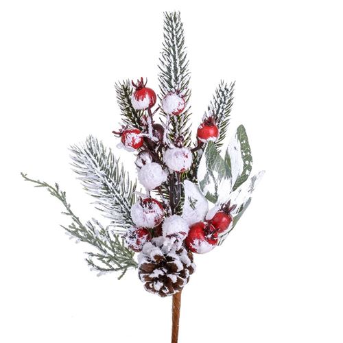 Rametto con bacche innevate