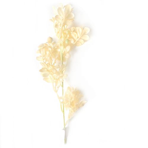 Rametto di Nuage colore Cremino