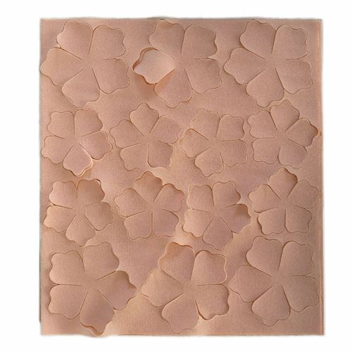 Rosa Primette Pesca e Bianco Termoformabile