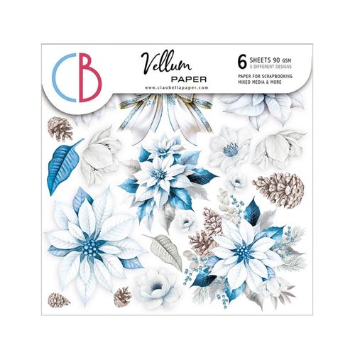 Set 6 Carte Vellum Elegance of Blue 15 x 15