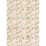 Set 6 Carte Vellum Flower Shop A4