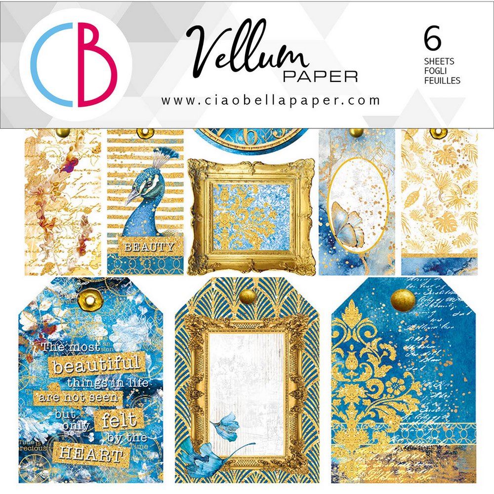 Set 6 Carte Vellum Indigo cm 15 x 15