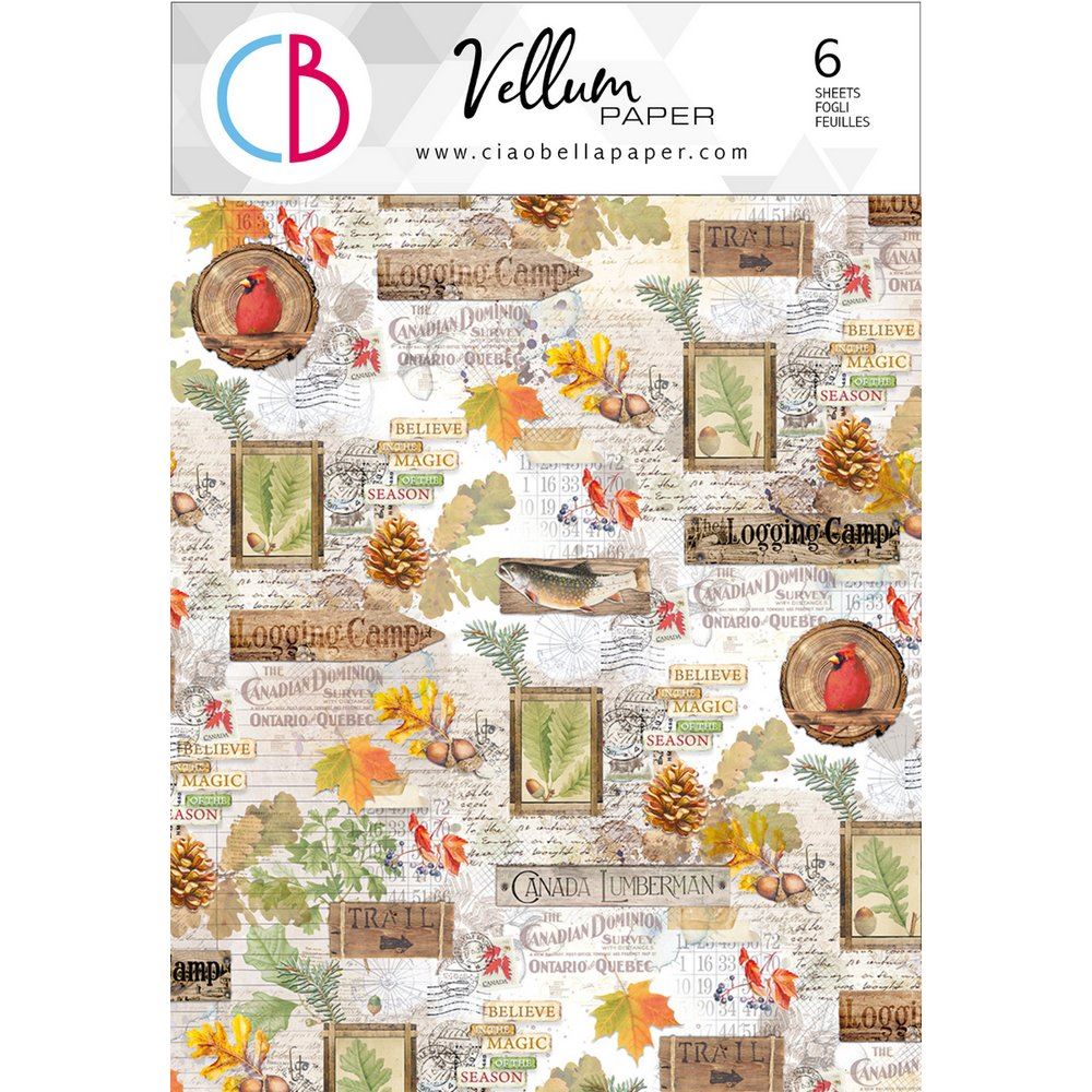 Set 6 Carte Vellum Into the Wild A4