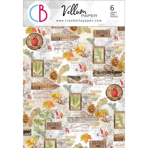 Set 6 Carte Vellum Into the Wild A4