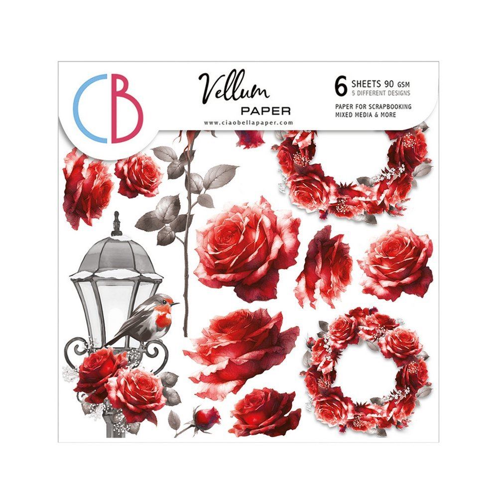 Set 6 Carte Vellum Paris Je t’aime Fussy Cut 15 x 15