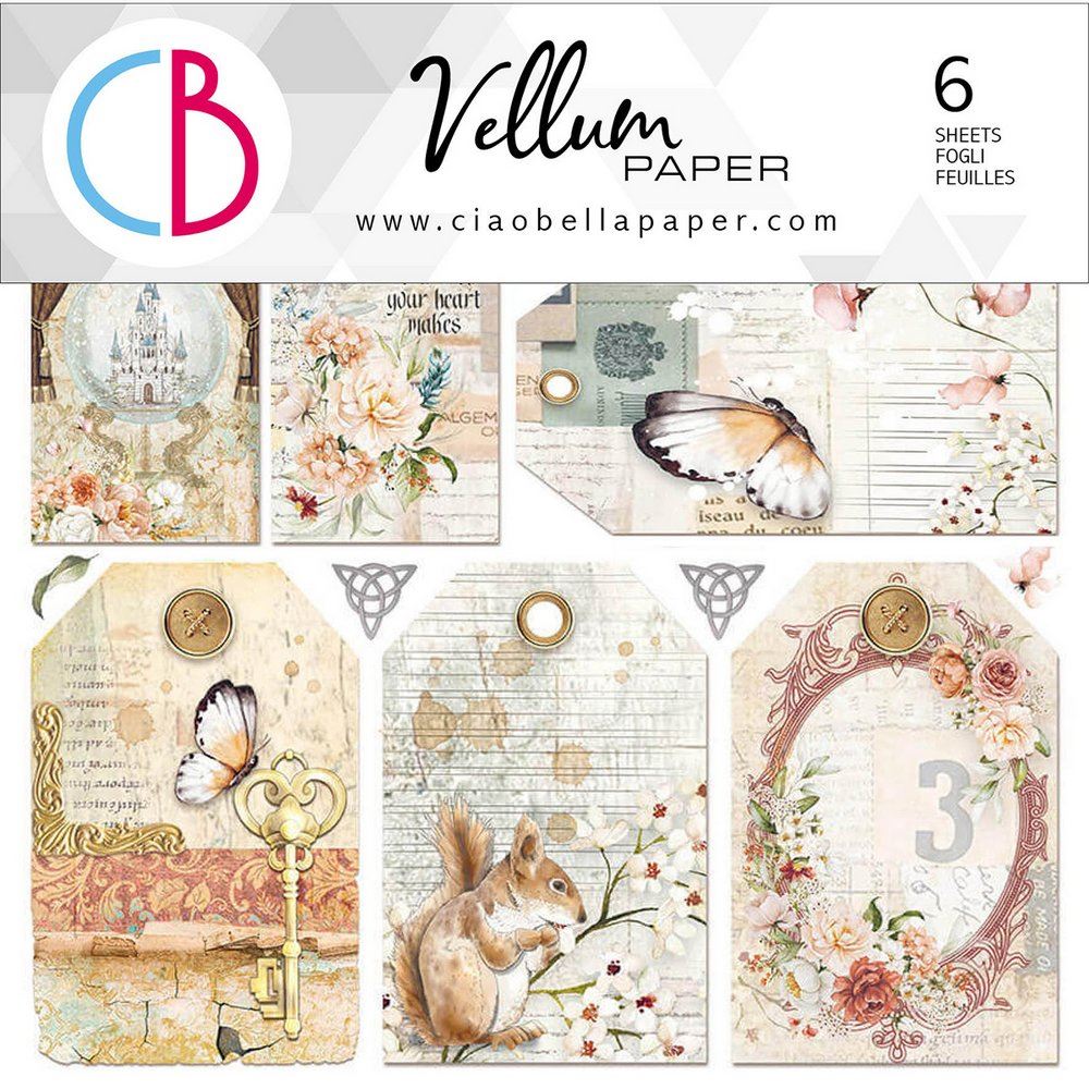 Set 6 Carte Vellum Reign of Grace cm 15 x 15