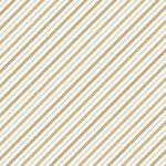 Set 6 Carte Vellum The Nutcracker Fussy Cut 15 x 15