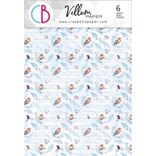 Set 6 Carte Vellum Winter Journey A4