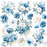Set 6 Carte Vellum Midnight Spell 15 x 15
