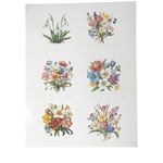 Set 8 Cartoncini da ritagliare Spring Assortiti
