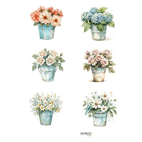 Set 8 Cartoncini da ritagliare The Bookshop Assortiti