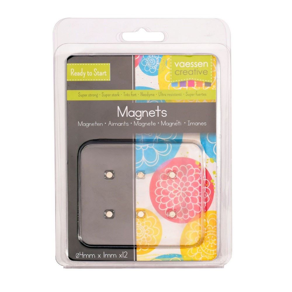 Set da 12 Magneti 4 mm