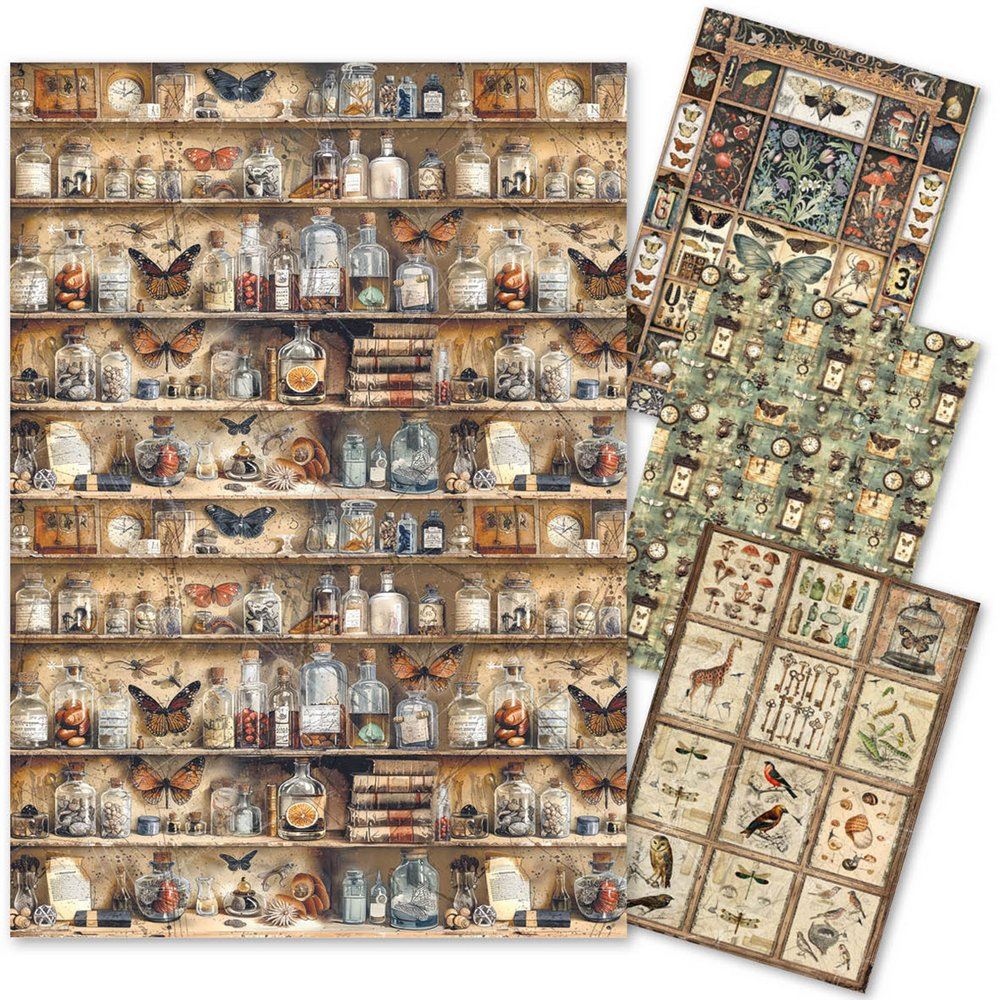 Set da 4 Carte di riso Cabinet of Curiosities A4