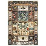 Set da 4 Carte di riso Cabinet of Curiosities A4