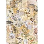Set da 8 Carte di riso Cabinet of Curiosities A5