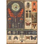 Set da 8 Carte di riso Cabinet of Curiosities A5