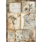Set da 8 Carte di riso Codex A5