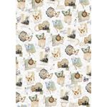 Set da 8 Carte di riso Eastern Journey A5