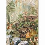 Set da 8 Carte di riso The Nature Journal A5