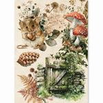 Set da 8 Carte di riso The Nature Journal A5
