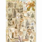Set da 8 Carte di riso The Nature Journal A5