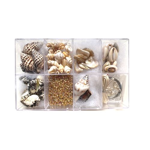 Set di Conchiglie e Perle 2