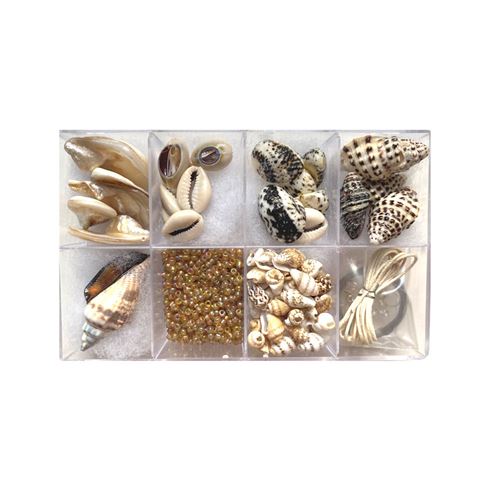 Set di Conchiglie e Perle 3