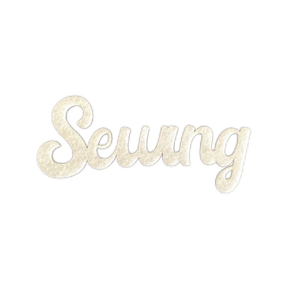 Sewing in feltro