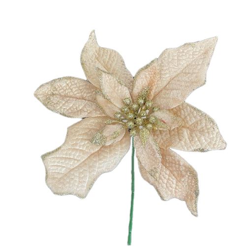 Stella di Natale crema e oro