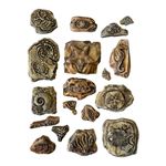 Stampo morbido A5 Silent Sea Fossili