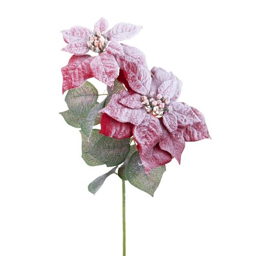 Stella di Natale rossa con effetto neve