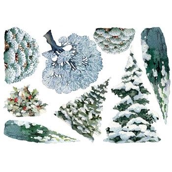 Sweet Wood Alberi Innevati