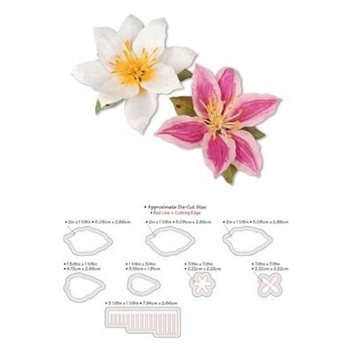 Thinlits Clematis