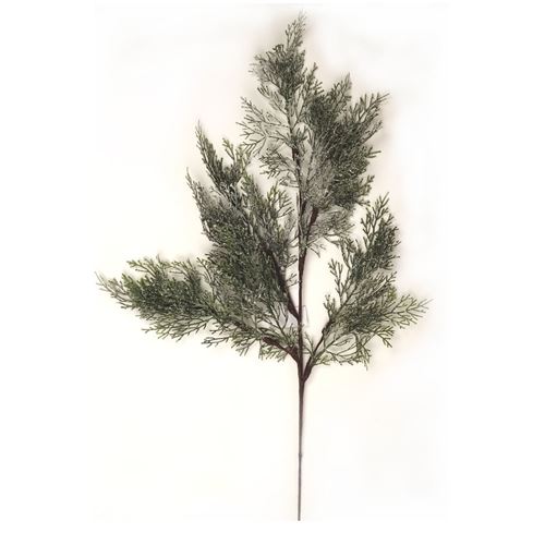 Thuja Verde con Brina