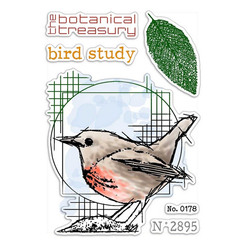 Timbri acrilici Bird Study