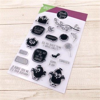 Timbri acrilici Funny Birdie